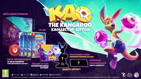 https://www.nintendo-difference.com/wp-content/uploads/2022/02/kao-the-kangaroo-9.jpg