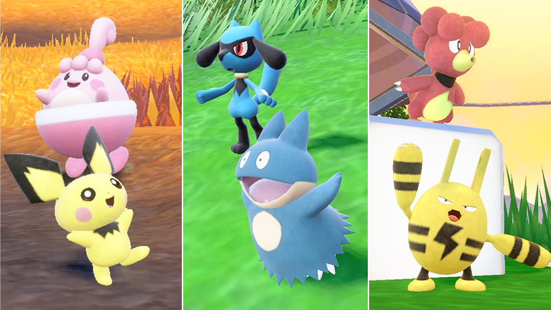 Pokémon Écarlate et Violet : apparitions massives de six bébés Pokémon