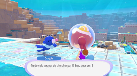 https://www.nintendo-difference.com/wp-content/uploads/2026/06/Pokemon-Pokopia-pass-dextension-Screenshot-1.jpg