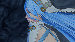 Fire Emblem Fates : Birthright & Conquest