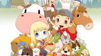 Story of Seasons : Friends of Mineral Town